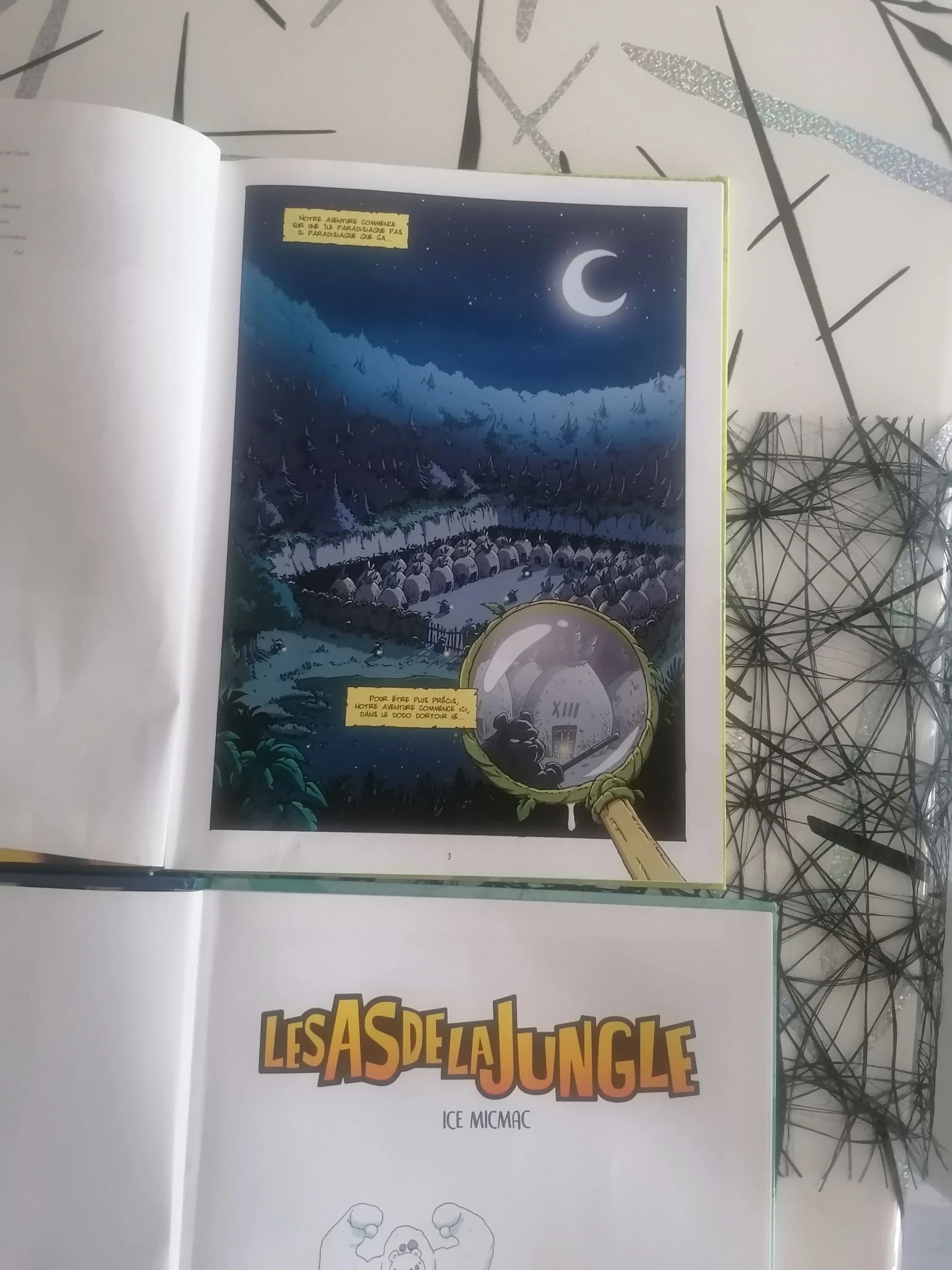 Lote de 2 BD Os As da Selva 📚 – photo 13